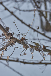 Similar image 21763386