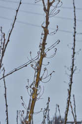 Similar image 21763387