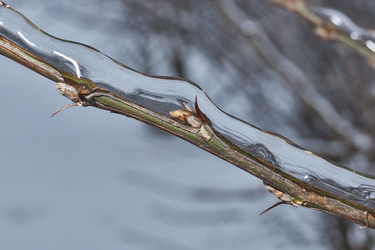 Similar image 21763388