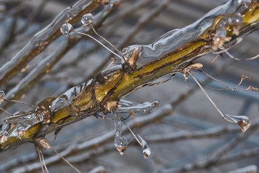 Similar image 21763389