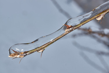 Similar image 21763390