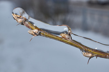 Similar image 21763391