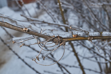 Similar image 21763392