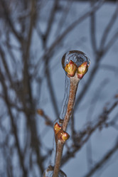 Similar image 21763395