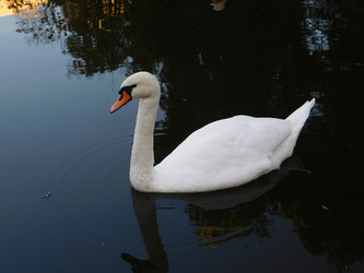 Similar image 21764786