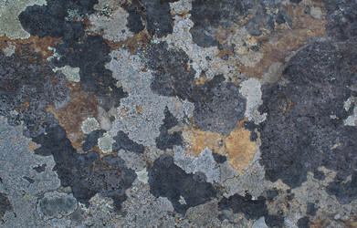 Similar image 21763888