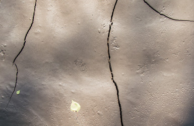 Similar image 21763894