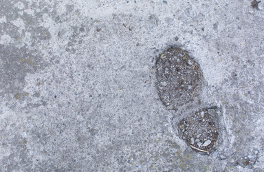 Similar image 21763895