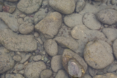 Similar image 21763901