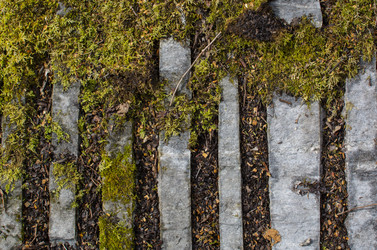 Similar image 21763902