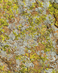 Similar image 21763905