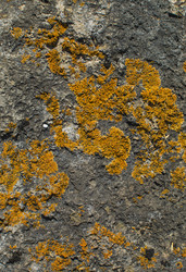 Similar image 21763907