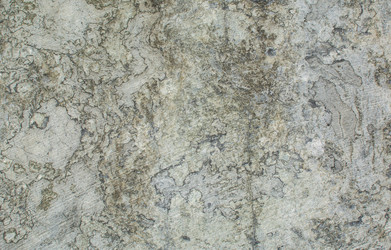 Similar image 21763908