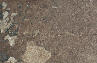 Similar image 21763909