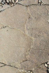 Similar image 21763911