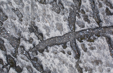 Similar image 21763916