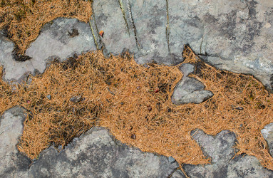 Similar image 21763698