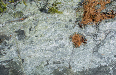 Similar image 21763700