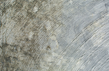 Similar image 21763705