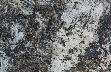 Similar image 21763706