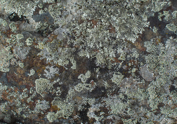 Similar image 21763708