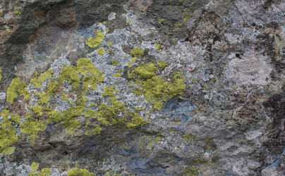 Similar image 21763717