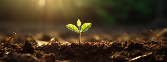 Similar image 21763156