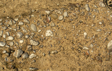 Similar image 21763722