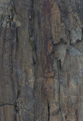 Similar image 21763723