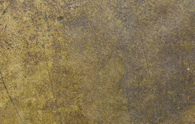 Similar image 21763725