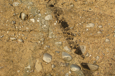 Similar image 21763726