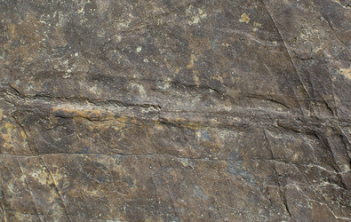 Similar image 21763727