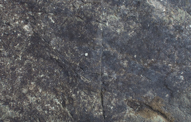 Similar image 21763743