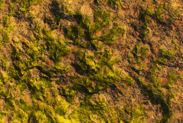 Similar image 21763752