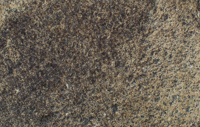 Similar image 21763920