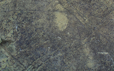 Similar image 21763923