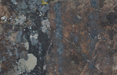 Similar image 21763933