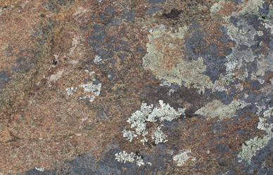 Similar image 21763938