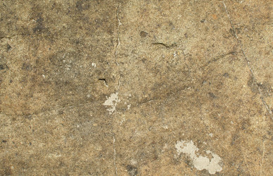 Similar image 21763943