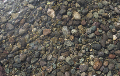 Similar image 21763945