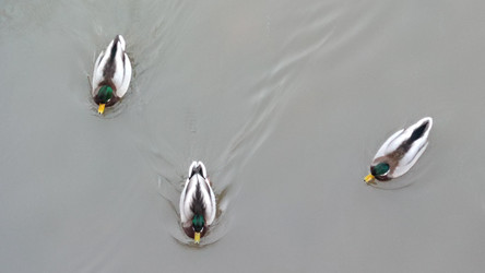 Similar image 21765233