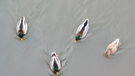 Similar image 21765235