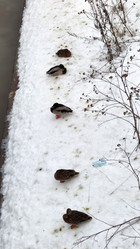 Similar image 21765236