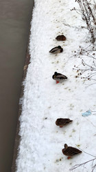 Similar image 21765237