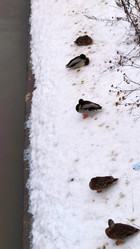 Similar image 21765238