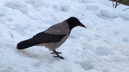 Similar image 21765239