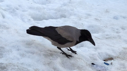 Similar image 21765240