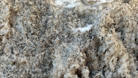 Similar image 21765251