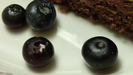 Similar image 21765270