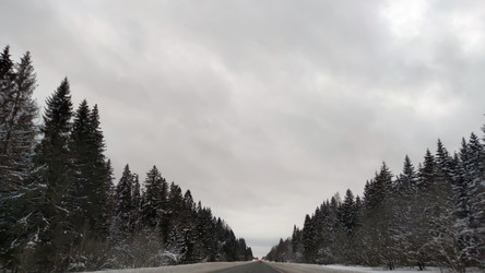 Similar image 21765436